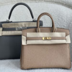 Birkin 25 bags