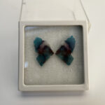 Paraiba Article