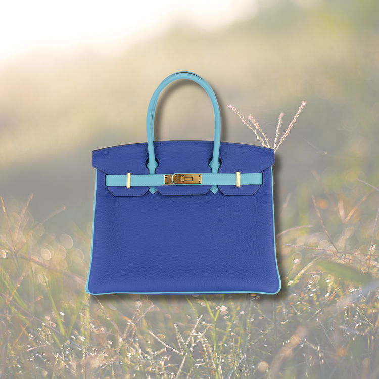 Birkin Maintenance and Upkeep – Long-Term Preservation Tips
